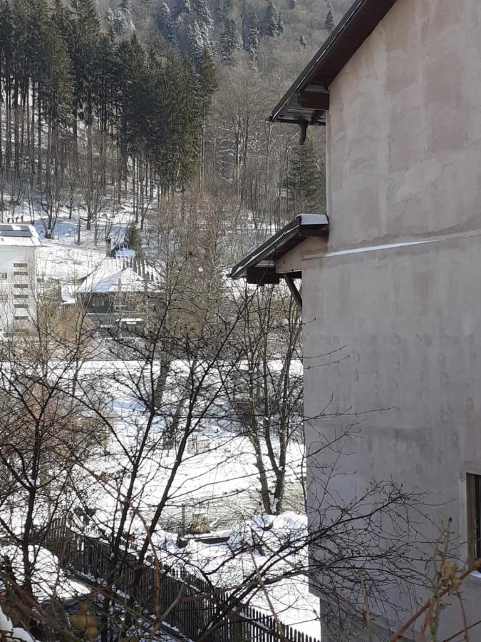 Casa Ryana Sinaia Hotel Exterior photo